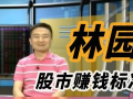 林园最新视频,揭秘投资智慧与市场洞察