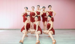 舞蹈视频,捕捉舞蹈视频的精彩瞬间与情感表达