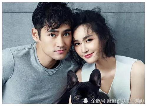 娱乐圈吃瓜爆料贾玲是谁,娱乐圈吃瓜爆料中的焦点人物